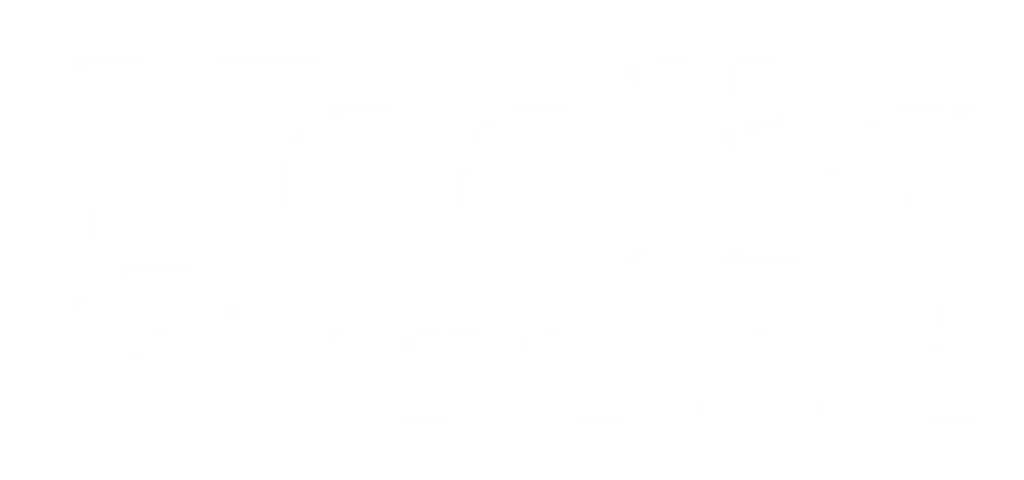 Logo Blanco Noelia